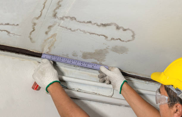 Reliable Basement Water Removal contractor in Hillsboro, TX by Water Damage Irwin